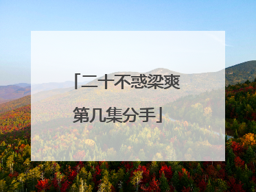 二十不惑梁爽第几集分手