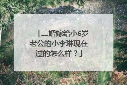 二婚嫁给小6岁老公的小李琳现在过的怎么样？