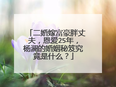 二婚嫁富豪胖丈夫,恩爱25年,杨澜的婚姻秘笈究竟是什么?