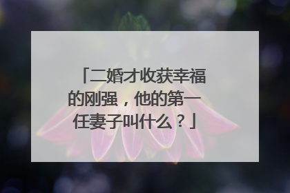 二婚才收获幸福的刚强，他的第一任妻子叫什么？