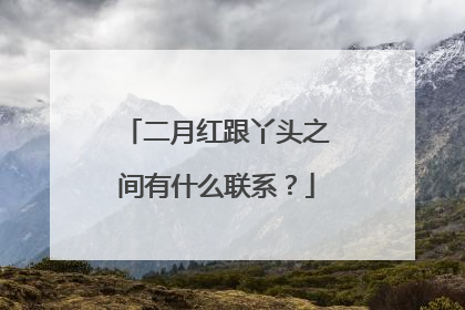 二月红跟丫头之间有什么联系？