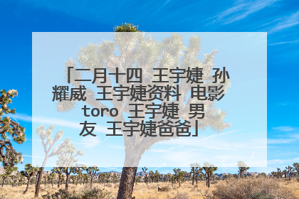 二月十四 王宇婕 孙耀威 王宇婕资料 电影 toro 王宇婕 男友 王宇婕爸爸