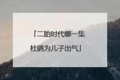 二胎时代哪一集杜鹃为儿子出气
