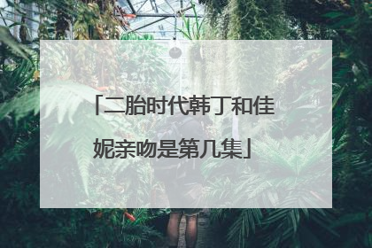 二胎时代韩丁和佳妮亲吻是第几集