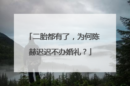 二胎都有了，为何陈赫迟迟不办婚礼？