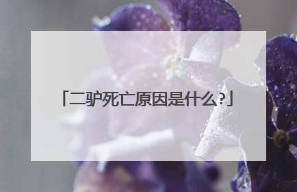 二驴死亡原因是什么?