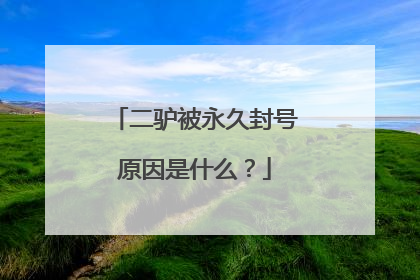 二驴被永久封号原因是什么？