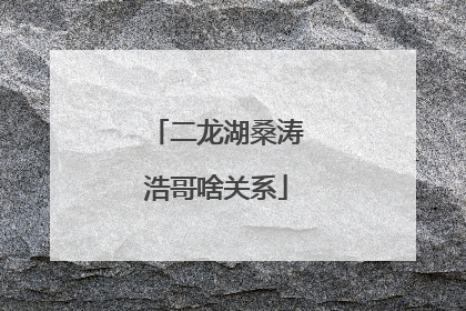 二龙湖桑涛浩哥啥关系