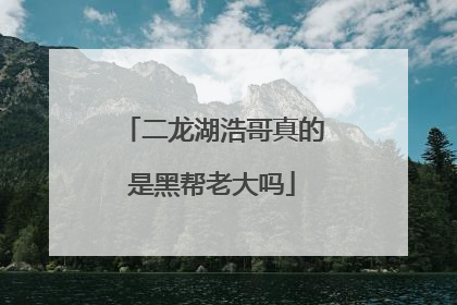 二龙湖浩哥真的是黑帮老大吗