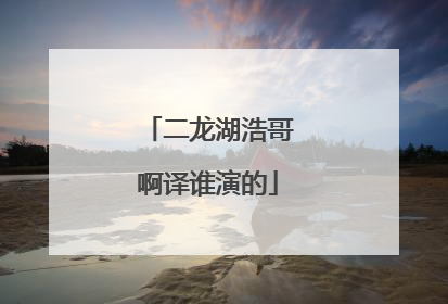二龙湖浩哥啊译谁演的