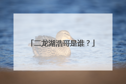 二龙湖浩哥是谁?