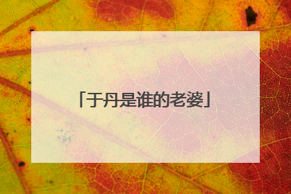 于丹是谁的老婆