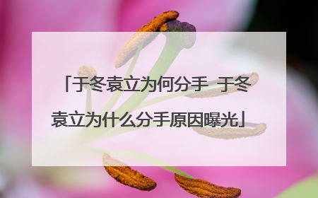 于冬袁立为何分手 于冬袁立为什么分手原因曝光