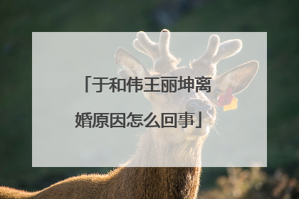 于和伟王丽坤离婚原因怎么回事