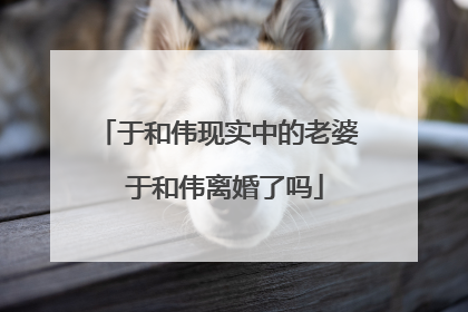 于和伟现实中的老婆 于和伟离婚了吗