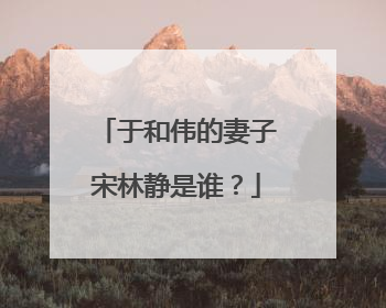 于和伟的妻子宋林静是谁?