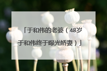 于和伟的老婆（48岁于和伟终于曝光娇妻）