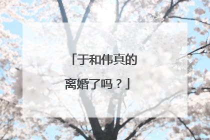 于和伟真的离婚了吗?