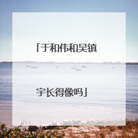 于和伟和吴镇宇长得像吗