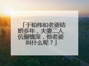 于和伟和老婆结婚多年,夫妻二人伉俪情深,他老婆叫什么呢?