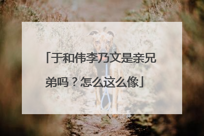 于和伟李乃文是亲兄弟吗？怎么这么像