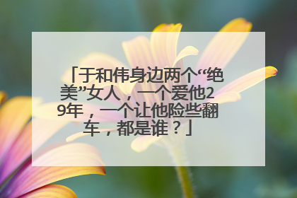 于和伟身边两个“绝美”女人，一个爱他29年，一个让他险些翻车，都是谁？