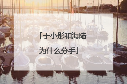 于小彤和海陆为什么分手