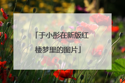 于小彤在新版红楼梦里的图片