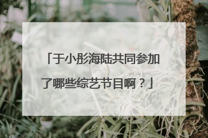 于小彤海陆共同参加了哪些综艺节目啊？