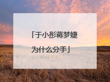 于小彤蒋梦婕为什么分手