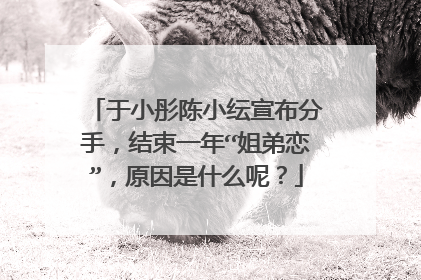 于小彤陈小纭宣布分手，结束一年“姐弟恋”，原因是什么呢？