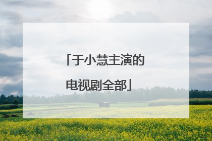 于小慧主演的电视剧全部