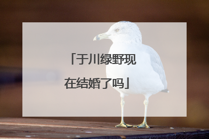 于川绿野现在结婚了吗