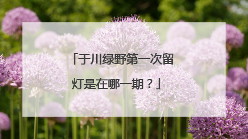 于川绿野第一次留灯是在哪一期？