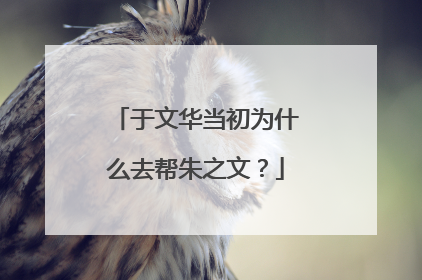 于文华当初为什么去帮朱之文?