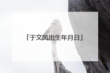 于文凤出生年月日