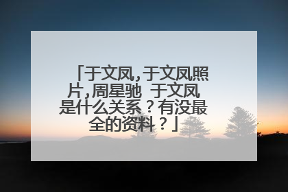于文凤,于文凤照片,周星驰 于文凤是什么关系?有没最全的资料?