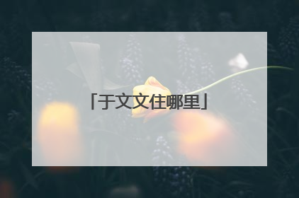 于文文住哪里