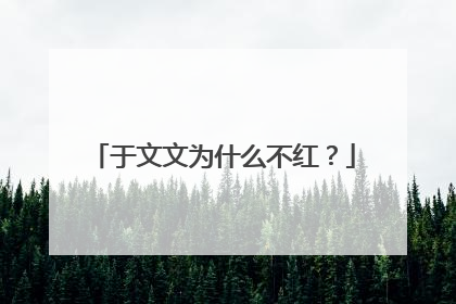 于文文为什么不红?