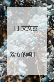 于文文喜欢女的吗