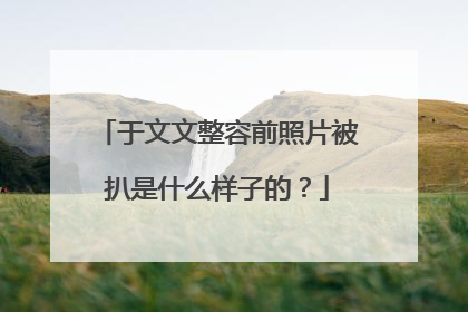 于文文整容前照片被扒是什么样子的？