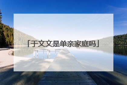 于文文是单亲家庭吗