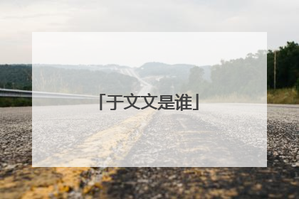 于文文是谁