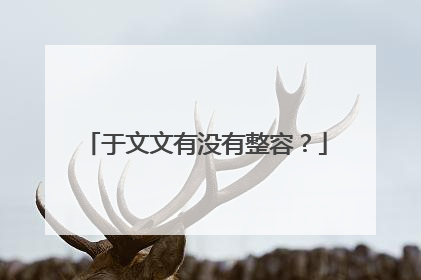 于文文有没有整容?