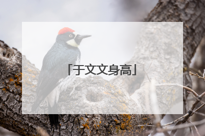 于文文身高