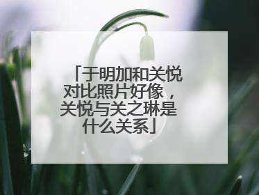 于明加和关悦对比照片好像，关悦与关之琳是什么关系