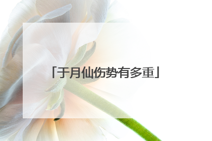 于月仙伤势有多重