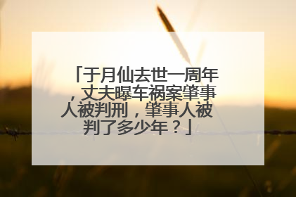 于月仙去世一周年，丈夫曝车祸案肇事人被判刑，肇事人被判了多少年？