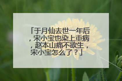于月仙去世一年后,宋小宝也染上重病,赵本山痛不欲生,宋小宝怎么了?
