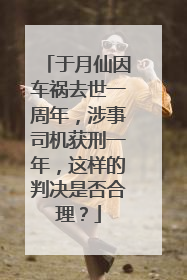 于月仙因车祸去世一周年,涉事司机获刑一年,这样的判决是否合理?